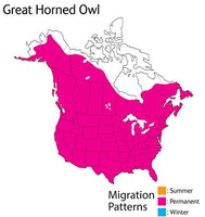 Wild Republic - Audubon II - Great Horned Owl - 5"