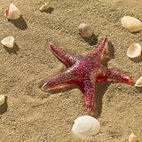 Viz Glass - 7" Glass Starfish - Red