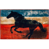 Olivia's Home - 32" x 22" Accent Rug - Wild Mustang