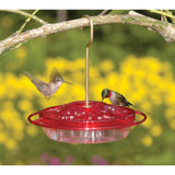 GC - Aspects - 8 Oz Humm Zinger Little Fancy Feeder