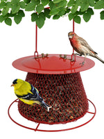 GC - Backyard Essentials - Collapsible Mesh Bird Feeder - Small Red