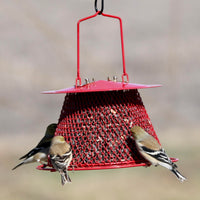 GC - Backyard Essentials - Collapsible Mesh Bird Feeder - Small Red