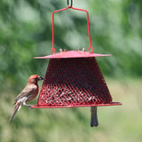 GC - Backyard Essentials - Collapsible Mesh Bird Feeder - Small Red