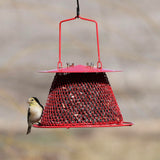 GC - Backyard Essentials - Collapsible Mesh Bird Feeder - Small Red