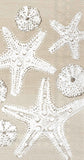 Boston International - Paper Guest Towel 16 Count - Beach Treasures Starfish
