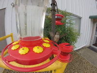 GC - First Nature 32-ounce Hummingbird Flower Feeder
