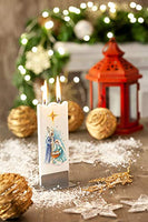 Flatyz - Twin Wick Flat Candle - Winter Birds On White