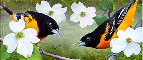 Jim Rathert - 15 oz. Mug - Baltimore Oriole w/ Flowering Dogwood