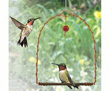 GC - Hummingbird Set - Perch Swing & Jewelbox Window Feeder