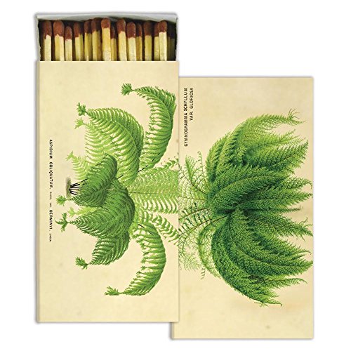 HomArt - Match Box Set of 2 - Ferns - Sepia