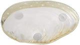 Two's Company - Cabebe Shell Footed Dish w/ Silver Plated Trim