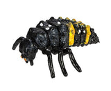 Safari Ltd - Safariology Collection - Life Cycle of a Ladybug