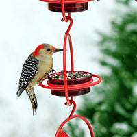 Couronne - Hummble Bold Bird Feeder - Red