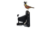 Mullanium - Steampunk Inspired Sculpture - Inspired Bird On A Camera