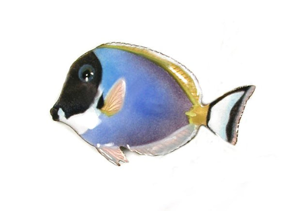 Bovano - Wall Sculpture - Powder Blue Surgeonfish