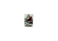 Stony Creek - Frosted Glass - 6" Lit Rectangle Vase - Winter Snow Cardinals