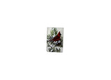 Stony Creek - Frosted Glass - 6" Lit Rectangle Vase - Winter Snow Cardinals