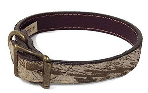 Auburn Leather - Camouflage Dog Collar - 8"-10"