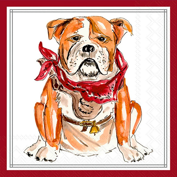 Boston International - 3-Ply 5" Cocktail Napkins 20 Count - Hometown Pride/ Maroon Bulldog