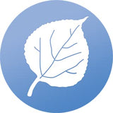 GC - Window Alert - Window Strike Deterrent - 8 Decals -  Aspen Leaf