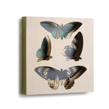 DEMDACO Large Butterfly Shadow Box