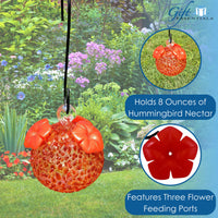 GC Gift Essentials - 8 Oz. Glass Hummingbird Feeder - Red Textured