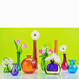 Couronne - Fiji Glass Vase with Arched Stand - Orange