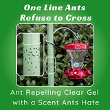 Nectar Fortress Natural Ant Block - Multi-Purpose Ant Guard for Hummingbirds Feeders - Twin Pack