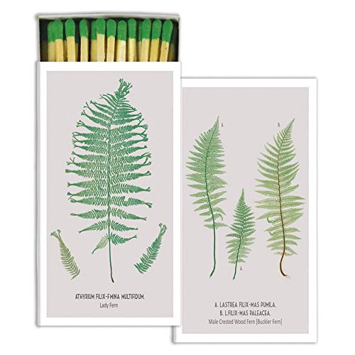 HomArt - Match Box Set of 2 - Ferns - White