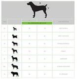 Horseware Ireland - Sportz-Vibe Message Therapy Dog Coat  - Black & Green - XXL