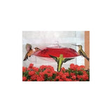 GC - Droll Yankee - Window Hummingbird Feeder