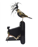 Mullanium - Steampunk Inspired Sculpture - Black & White Bird on Camera