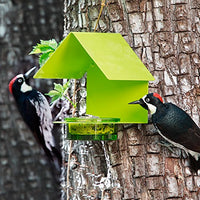 Couronne - The Cottage - House Bird Feeder - Lime