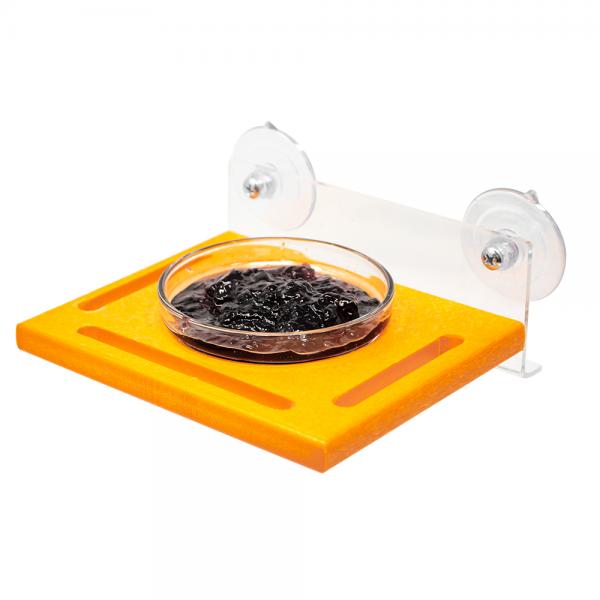 GC - Songbird Essentials - Orange Window Jelly Feeder