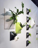 Pandemic - Node Indoor/Outdoor Wall Mounted Planter System - 12" - Gunmetal