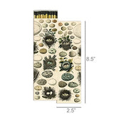 HomArt - Long Match Box Set of 2 - Nest & Eggs