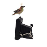 Mullanium - Steampunk Inspired Sculpture - Vintage Camera Bird