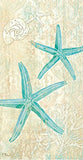 Boston International - Paper Guest Towel 16 Count - Laguna Shells