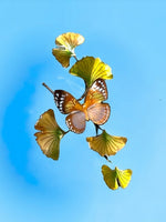 Bovano - Wall Sculpture - Forest Queen Butterfly on Ginkgo Branch