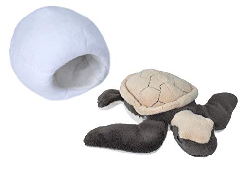 Wild Republic - Stuffed Plush - Hawksbill Sea Turtle Hatchlings - 6 Inches