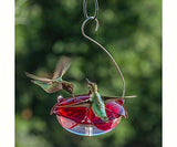 GC - Droll Yankee - Ruby Sipper Hanging Hummingbird Feeder - Clear