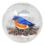GC - Bluebird Crackle - 6" LED Lighted Crackle Glass Globe