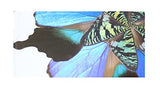 Eydelia - Butterfly Wing Wall Art - Flower - Blue & Plum