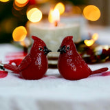Gift Essential - Blown Glass Salt & Pepper Set - Red Cardinals