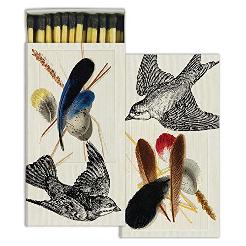 HomArt - Match Box Set of 2 - Sparrows & Specimens