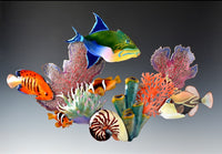 Bovano - Wall Sculpture - Under the Sea