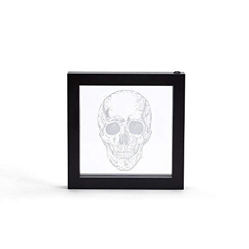 Two's Company - 9x9 Skull Light Box