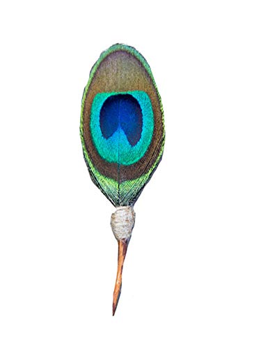 Brackish - Plum Thicket Lapel Pin - jekyll