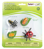 Safari Ltd - Safariology Collection - Life Cycle of a Ladybug
