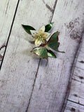 Bovano - Wall Sculpture - Luna Moth w/ White Lily
